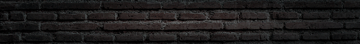 La imagen tiene un atributo ALT vacÃ­o; su nombre de archivo es banner-2.gif