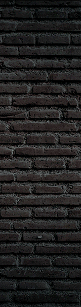 La imagen tiene un atributo ALT vacÃ­o; su nombre de archivo es banner-3.gif